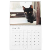 Calendrier de mur photo de Kitties Noires (Jan 2026)
