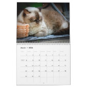Calendrier de mur photo des chats Napping (Mar 2026)
