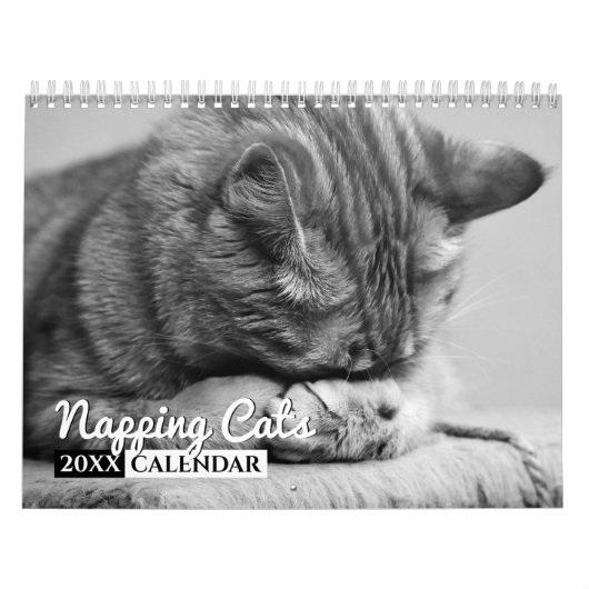 Calendrier de mur photo des chats Napping (Protection)