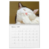 Calendrier de mur photo des chats Napping (Feb 2027)