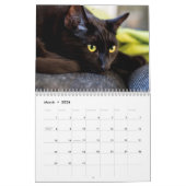 Calendrier de mur photo des chats noirs (Mar 2026)