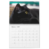 Calendrier de mur photo des chats noirs (Feb 2027)