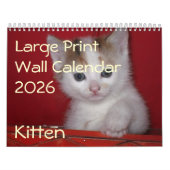 Calendrier de mur photo Kitten 2026 (Protection)