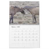 Calendrier de mustangs du Colorado (Feb 2026)