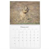 Calendrier de nature (Feb 2027)