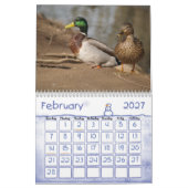 Calendrier de nature de canards de Mallard (Feb 2027)
