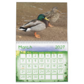 Calendrier de nature de canards de Mallard (Mar 2027)