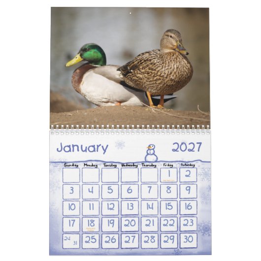 Calendrier de nature de canards de Mallard (Jan 2027)