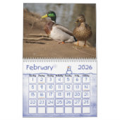 Calendrier de nature de canards de Mallard (Feb 2026)