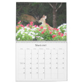 Calendrier de nature de propriétés d'avatar (Mar 2027)