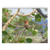 Calendrier de nature de propriétés d'avatar (Protection)