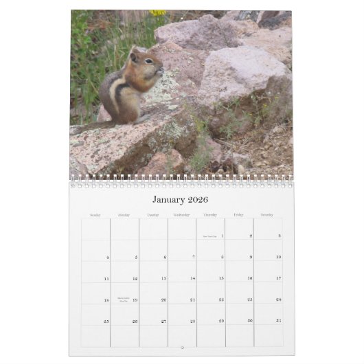 Calendrier de nature de propriétés d'avatar (Jan 2026)