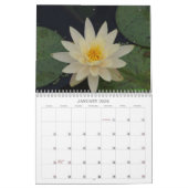 Calendrier de nénuphars (Jan 2026)