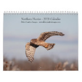 Calendrier de Northern Harrier 2021 (Protection)