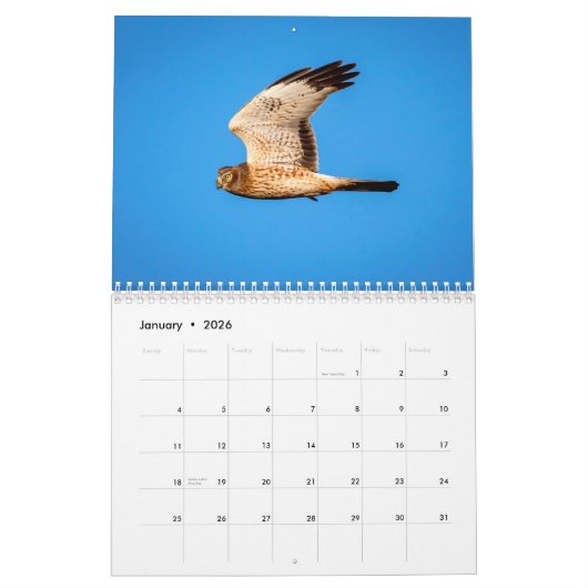 Calendrier de Northern Harrier 2021 (Jan 2026)