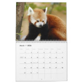 Calendrier de pandas rouges (Mar 2026)