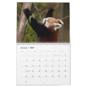 Calendrier de pandas rouges (Jan 2027)