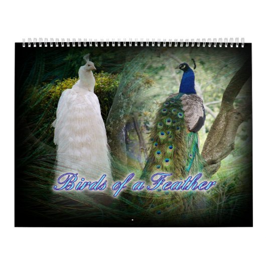 Calendrier de paon de Birds of a Feather (Protection)