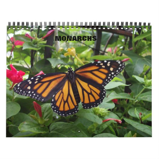 Calendrier de papillon de monarque (Protection)