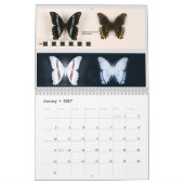 Calendrier de Papillons (Jan 2027)