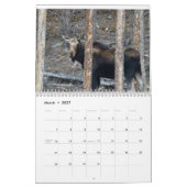 Calendrier de parc national de montagne rocheuse (Mar 2027)