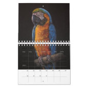 Calendrier de passion de perroquet pour vous (Mar 2027)