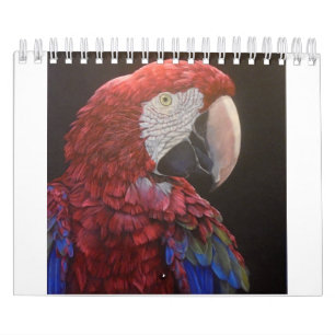 Calendrier de passion de perroquet pour vous