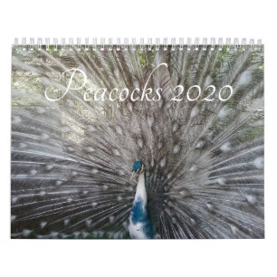 Calendrier de Peacock