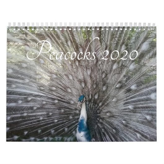 Calendrier de Peacock (Protection)