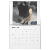 Calendrier de Pedro 2009 (Mar 2026)