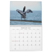 Calendrier de pélican (Feb 2027)
