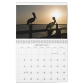 Calendrier de pélican (Jan 2027)