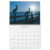 Calendrier de pélican (Mar 2027)
