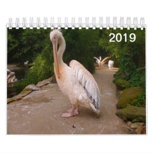 Calendrier de pélican et de paon