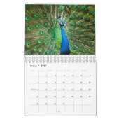 Calendrier de pélican et de paon (Mar 2027)