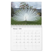 Calendrier de pélican et de paon (Feb 2026)