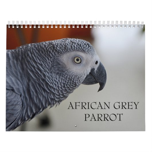 Calendrier de perroquet de gris africain du Congo (Protection)