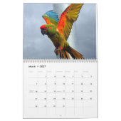 Calendrier de perroquets (Mar 2027)