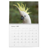 Calendrier de perroquets (Jan 2027)