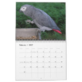 Calendrier de perroquets (Feb 2027)