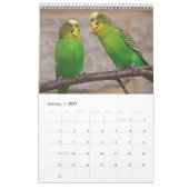 Calendrier de Perruches (Jan 2027)