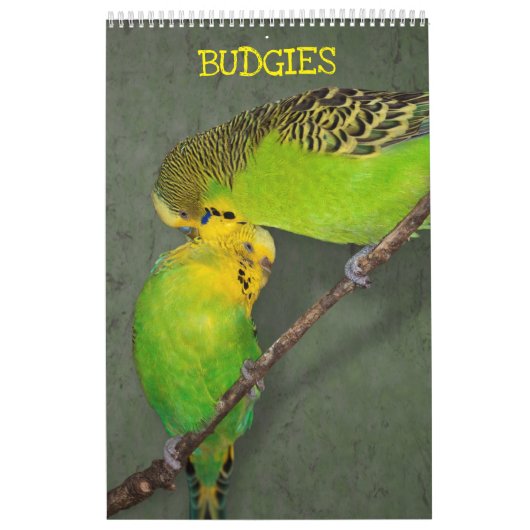 Calendrier de Perruches (Protection)