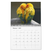Calendrier de Petits Oiseaux Beaux (Feb 2027)