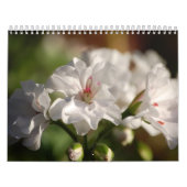 Calendrier de photo de 2008 fleurs (Protection)