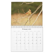 Calendrier de photo d'espion d'oeil (Feb 2026)