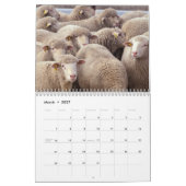 Calendrier de photographie d'animal de ferme (Mar 2027)
