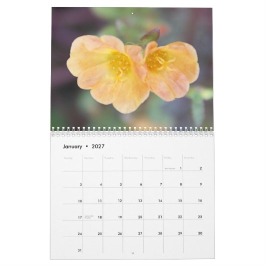 calendrier de photographie de 2013 beau fleurs (Jan 2027)