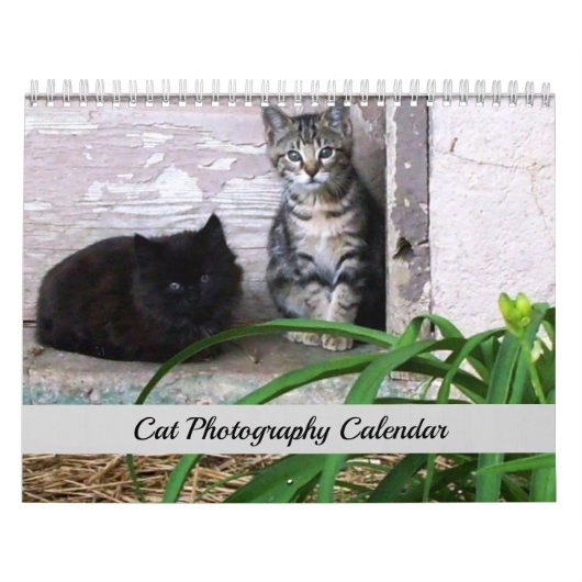 Calendrier de photographie de chats originaux Sgol (Protection)