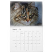 Calendrier de photographie de chats originaux Sgol (Feb 2027)