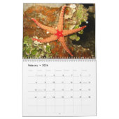 Calendrier de photographie de faune d'océan (Feb 2026)